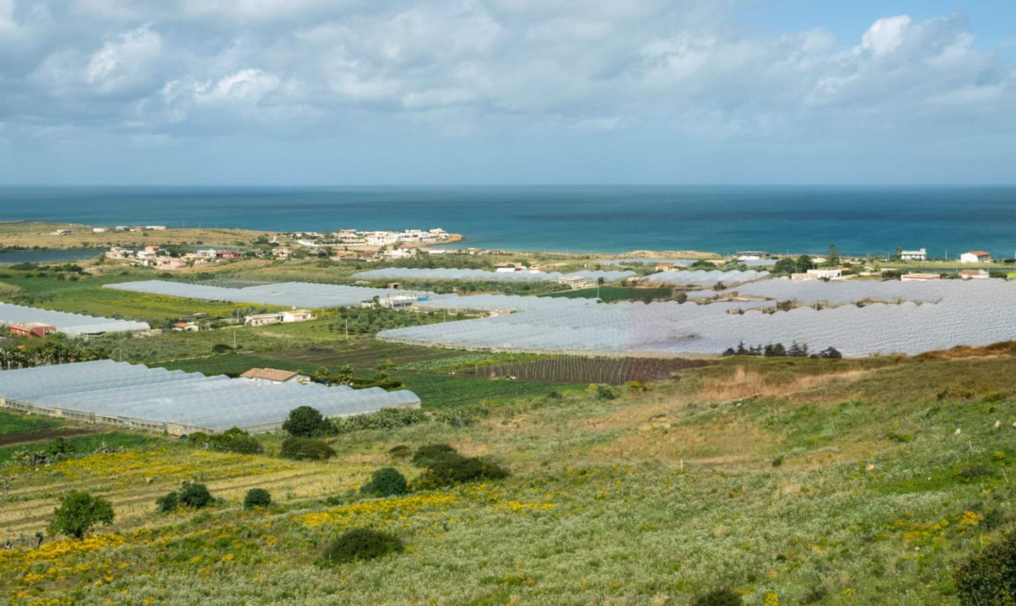 Filiere agricole sostenibili multi-regionali